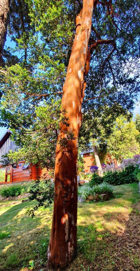 Laderas Del Campanario Villa San Carlos de Bariloche Exteriör bild